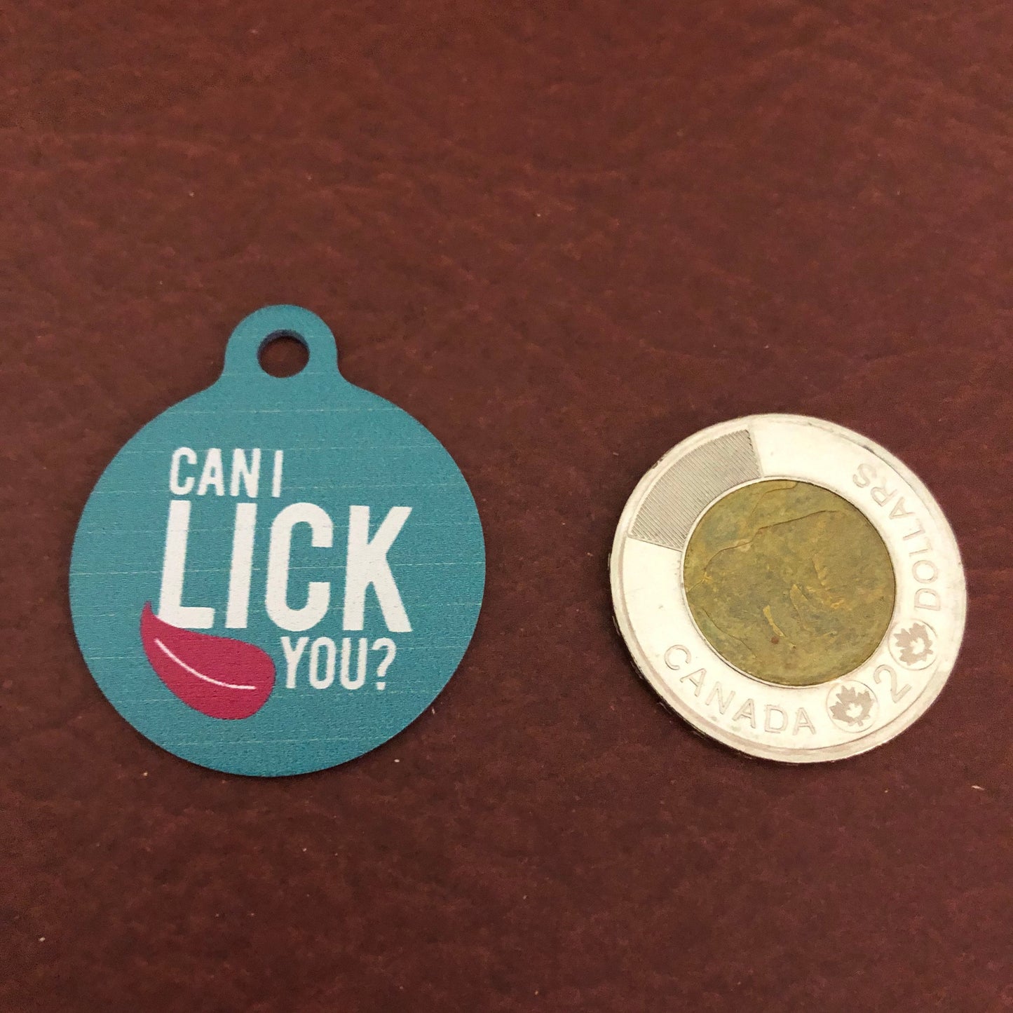 Can I Lick You? Dog Tag, Cat Tag, Large Circle Tag, Personalized Aluminum Tag, Diamond Engraved, Puppy Tag, Kitty Tag, For Dog Collar