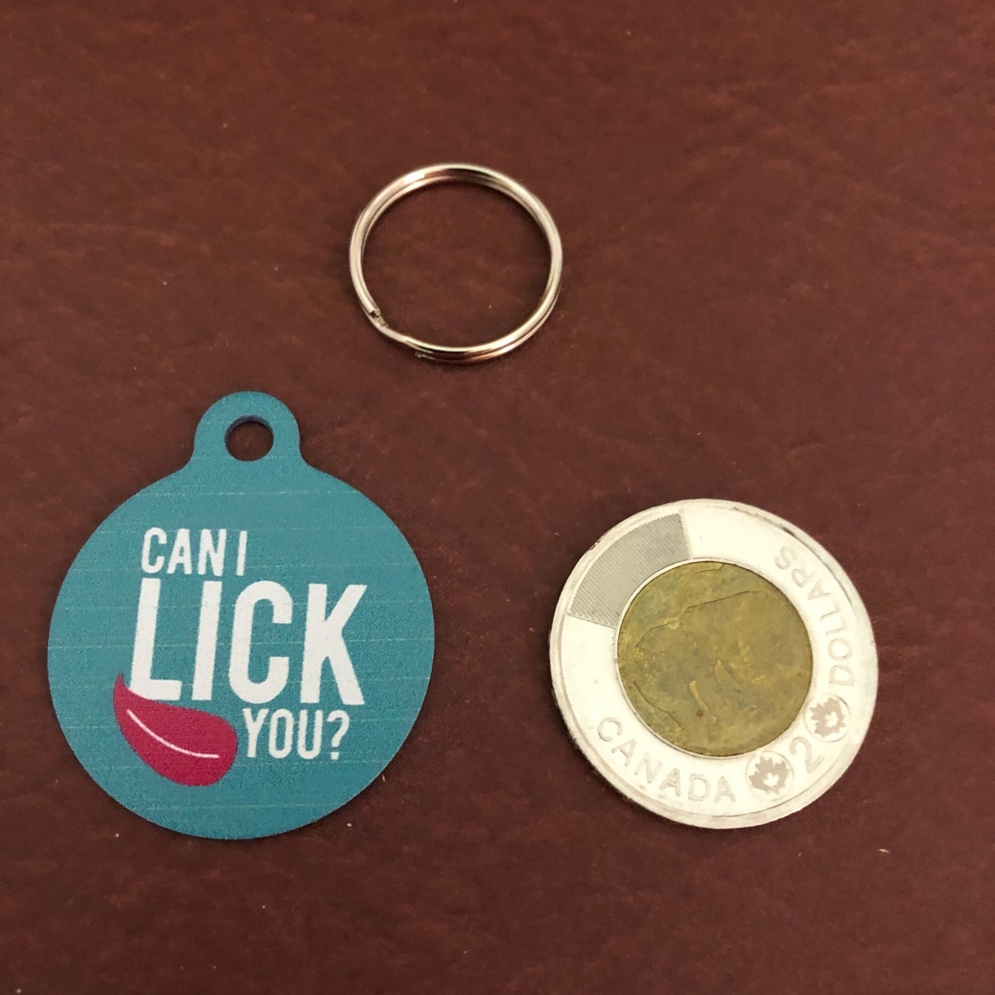 Can I Lick You? Dog Tag, Cat Tag, Large Circle Tag, Personalized Aluminum Tag, Diamond Engraved, Puppy Tag, Kitty Tag, For Dog Collar