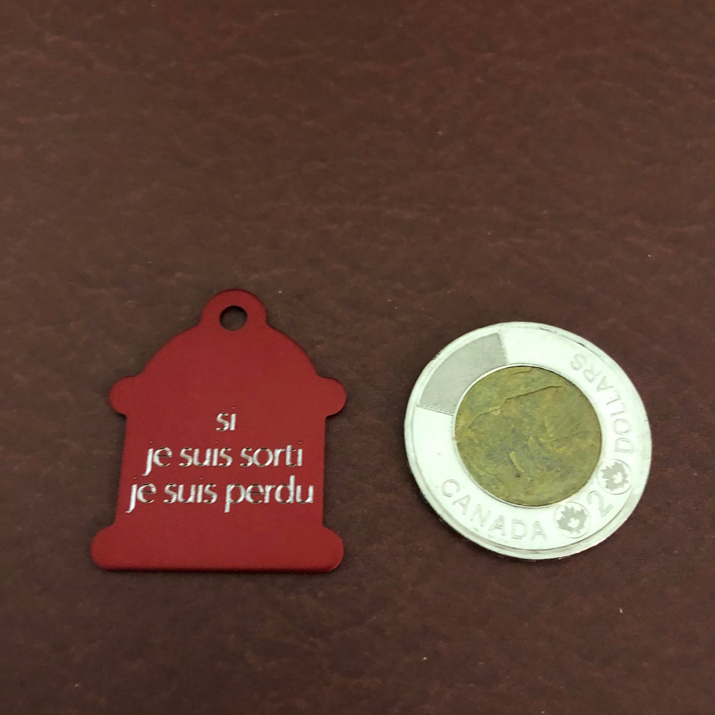 si je suis sorti je suis perdu, Large Fire Hydrant Aluminum Tag, Personalized Diamond Engraved, Puppy Tag, Dog Tag, Tag for Dog Collar,