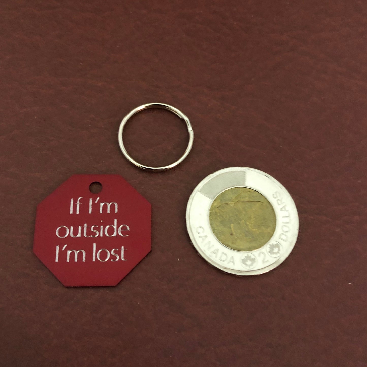 If I’m outside I’m lost, Large Stop Sign Aluminum Tag, Personalized Diamond Engraved, Cat, Kitten ID Dog Tags For Cat Collar, For Dog Collar