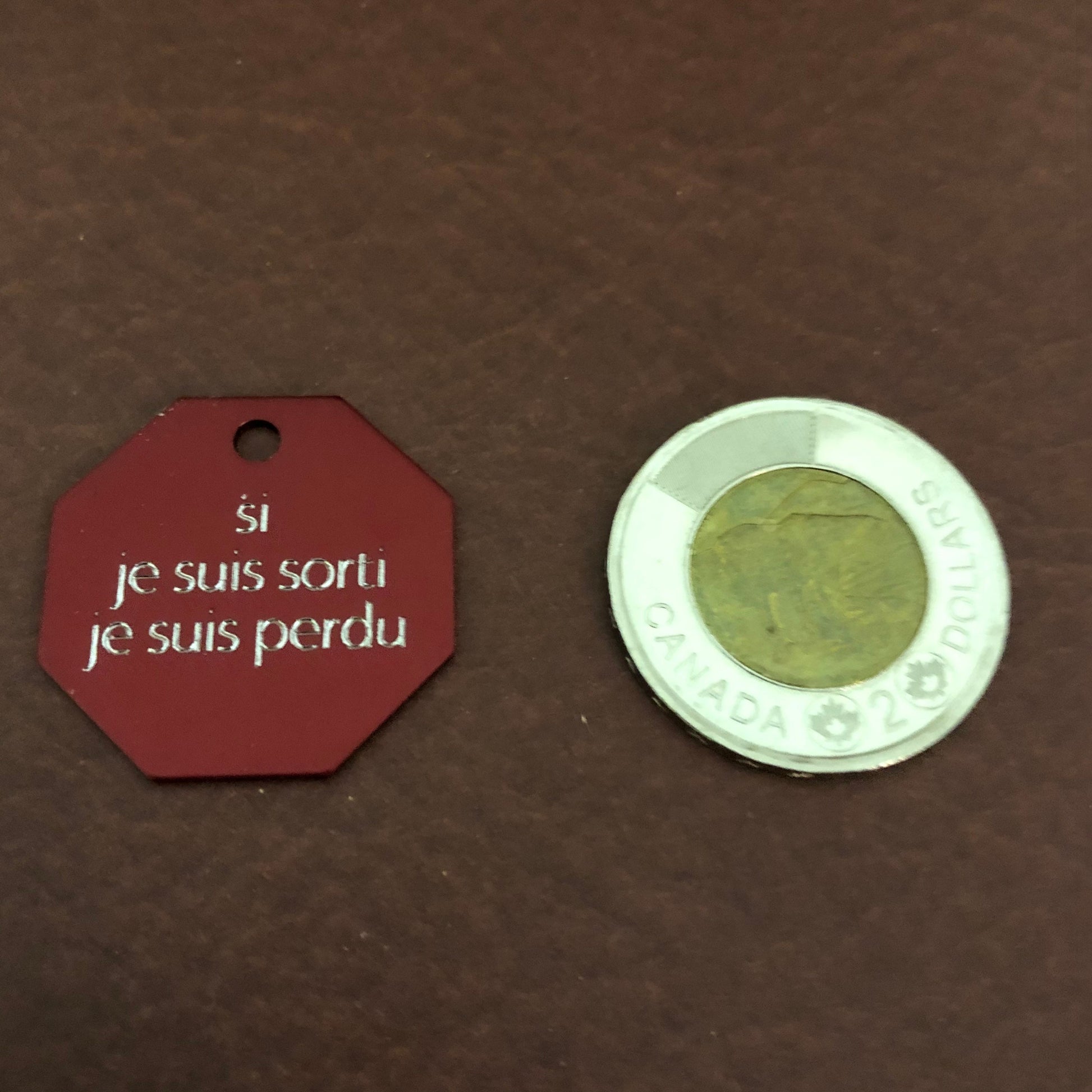 si je suis sorti je suis perdu, Large Stop Sign, Aluminum Tag, Available in Red or Gold Personalized Diamond Engraved Cat Dog Tags SJSSLSS