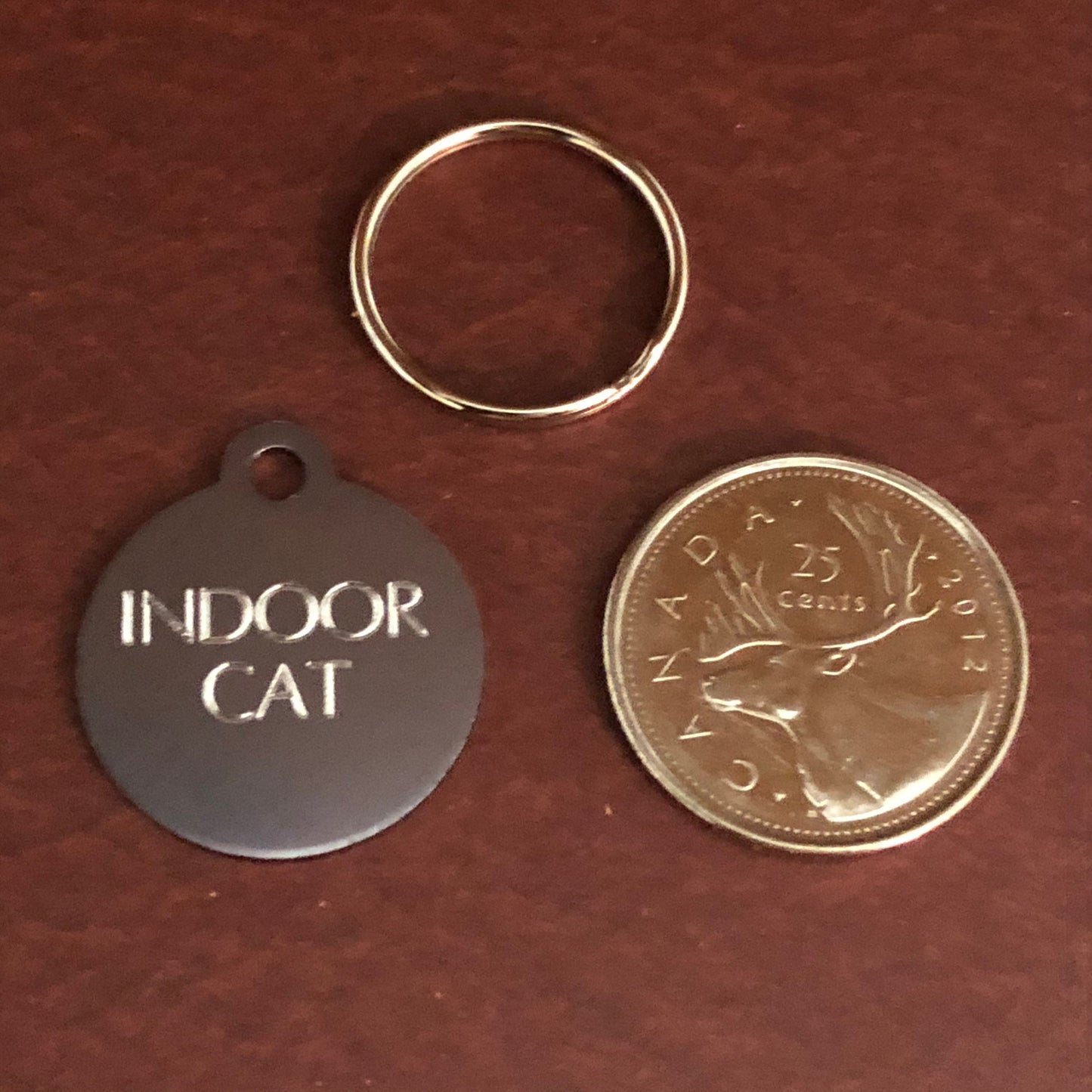 Indoor Cat Small Circle Aluminum Tag