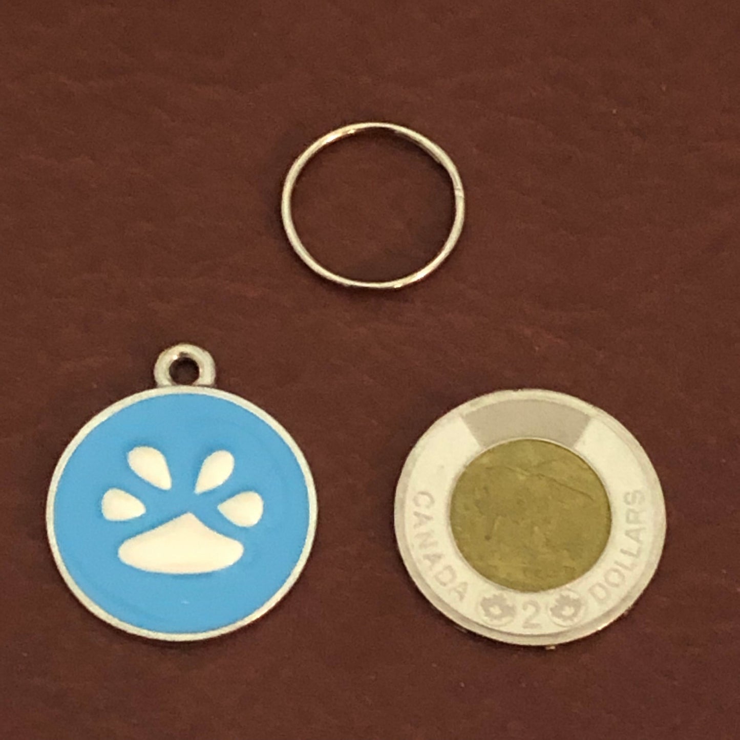 Blue Paw, Paw Print Large Pewter Enameled Circle Tag, Opaque Pastel Tags, Personalized Diamond Engraved, Dog Tag, Cat Tag, Collar