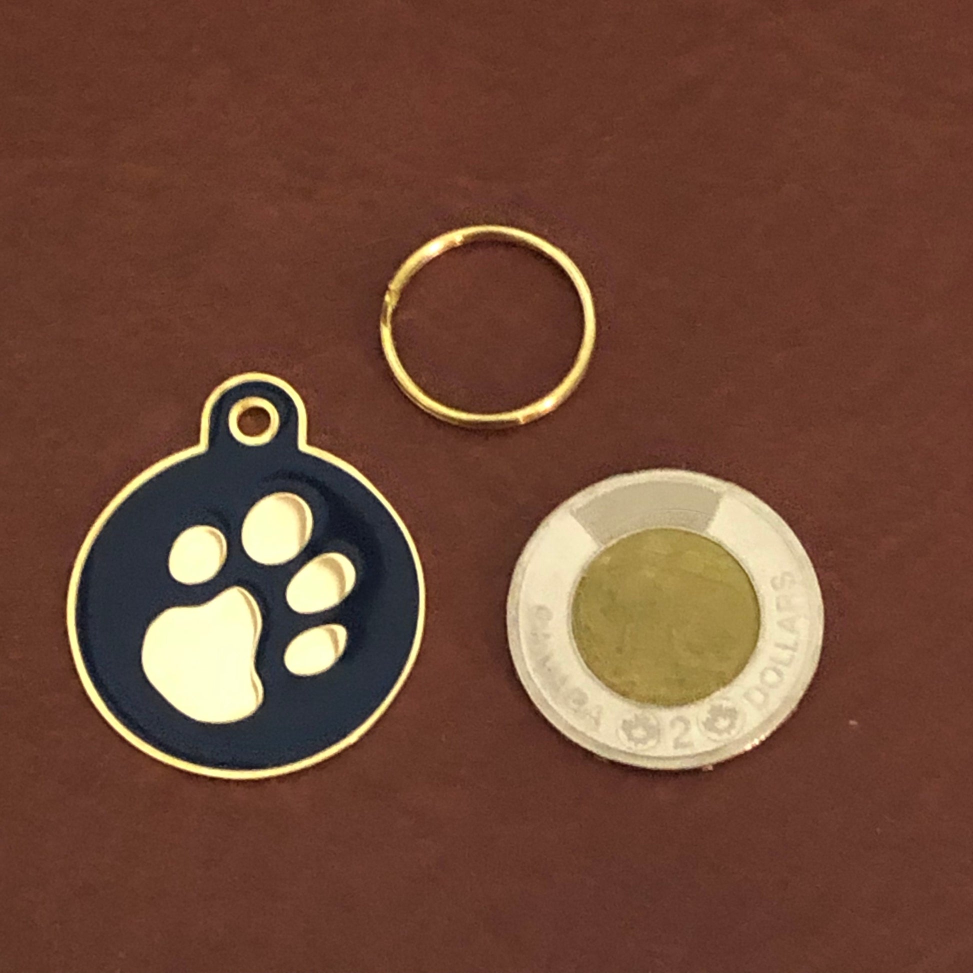 Paw Tag, Large Blue Circle Gold Plated Brass Tag, Pawsh Tag, Diamond Engraved Personalized Dog Tag, Cat Tag, For Dog Collars, Cat ID PTLBECG