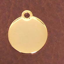 Load image into Gallery viewer, Paw Tag, Small Blue Circle Gold Plated Brass Tag, Pawsh Tag, Diamond Engraved Personalized Dog Tag, Cat Tag, For Dog Collar, Cat ID, PTSBECG