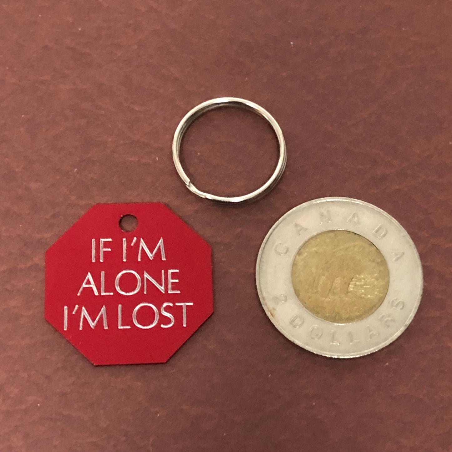 If I’m alone I’m lost, Large Stop Sign Aluminum Tag, Personalized Diamond Engraved, Cat, Kitten ID Dog Tags For Cat Collar, For Dog Collar