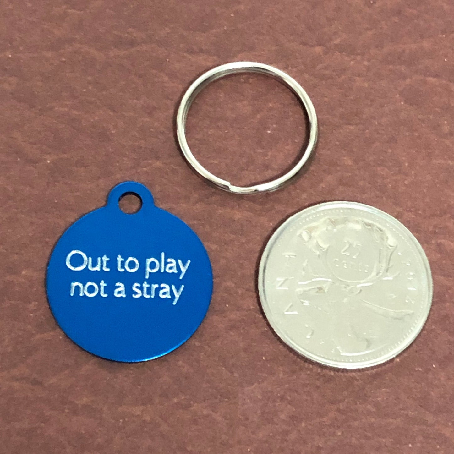 Out to play not a stray, Small Circle Aluminum Tag