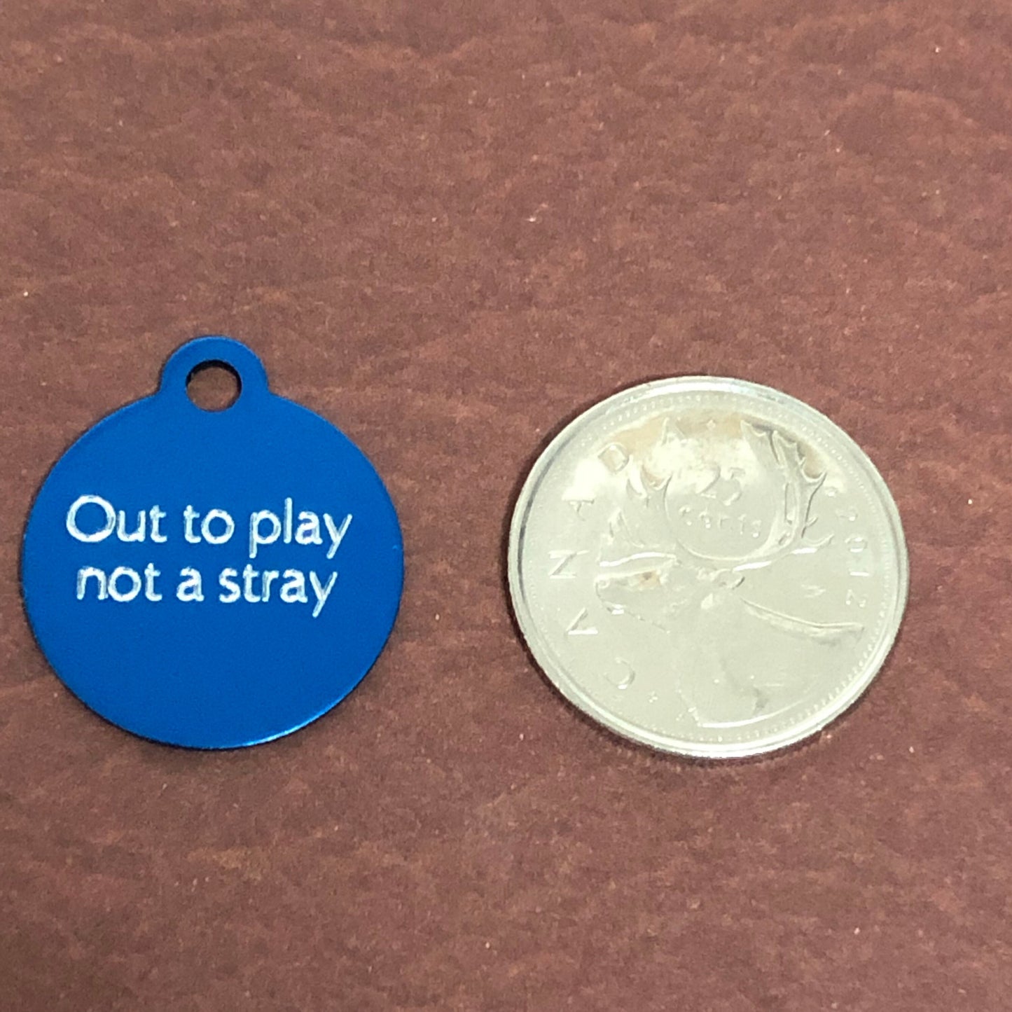 Out to play not a stray, Small Circle Aluminum Tag