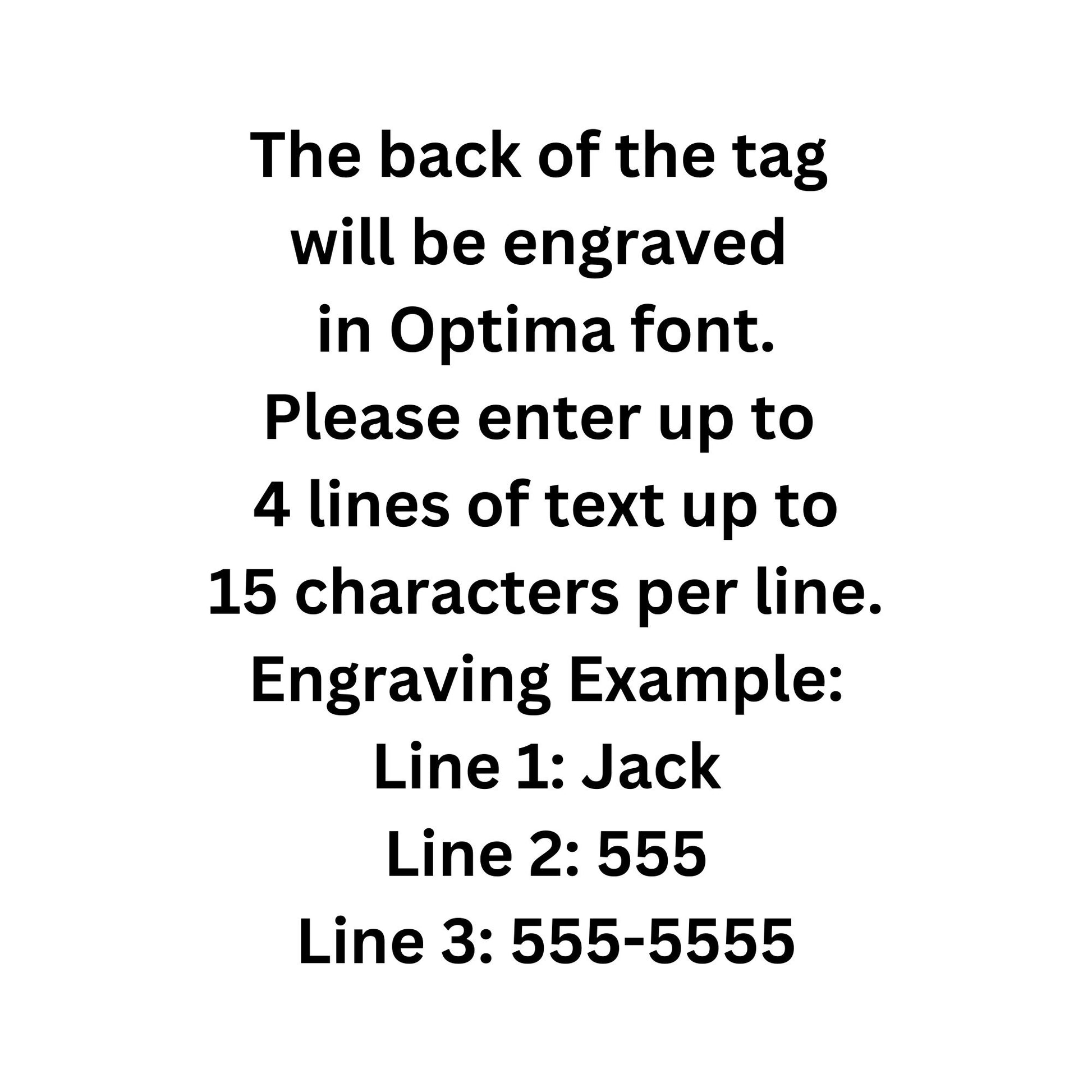 If I’m outside I’m lost, Large Stop Sign Aluminum Tag, Personalized Diamond Engraved, Cat, Kitten ID Dog Tags For Cat Collar, For Dog Collar