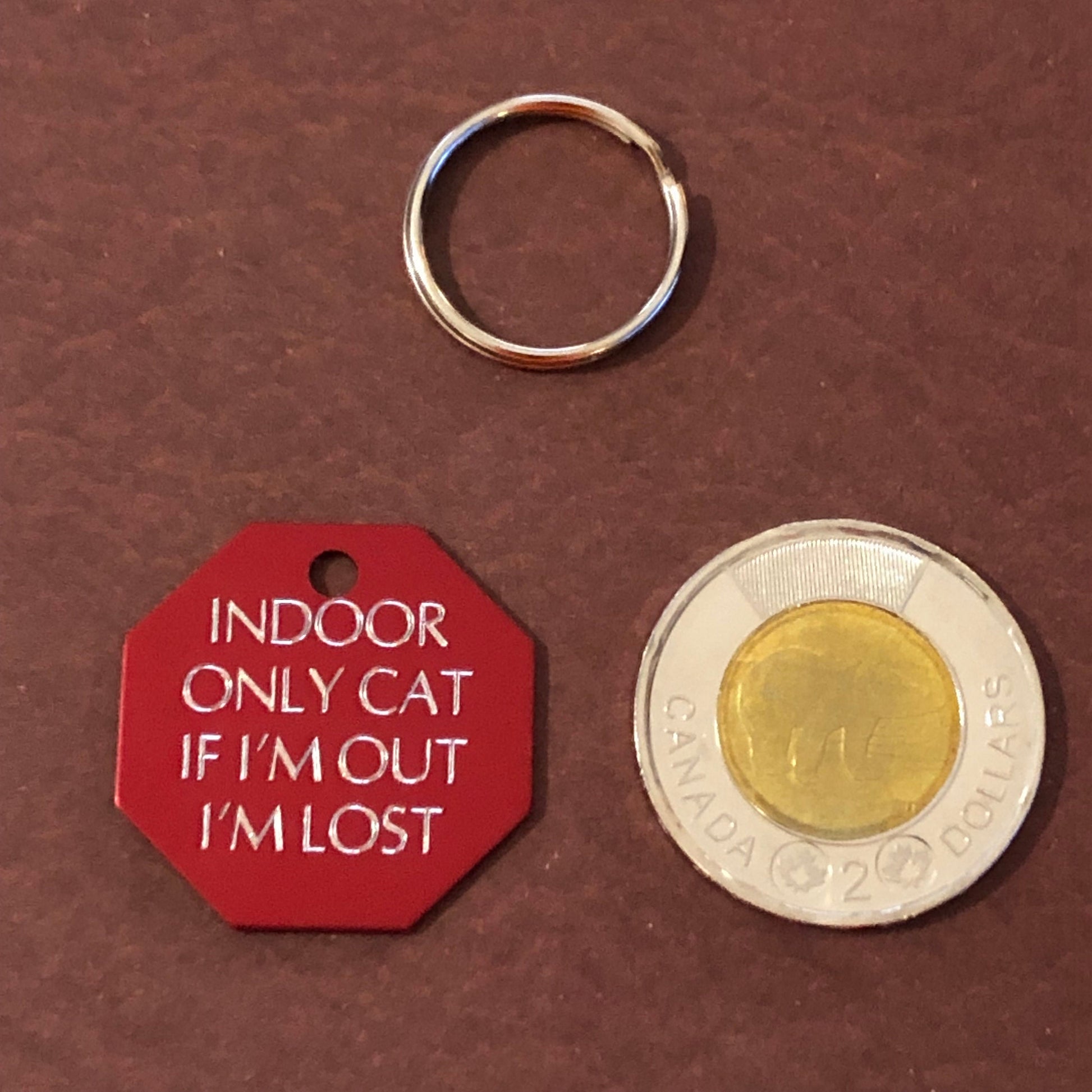 Indoor Only Cat if I’m out I’m lost Large Stop Sign Aluminum Tag Personalized Diamond Engraved Cat Kitten ID Tags For Cat Collar Gold or Red