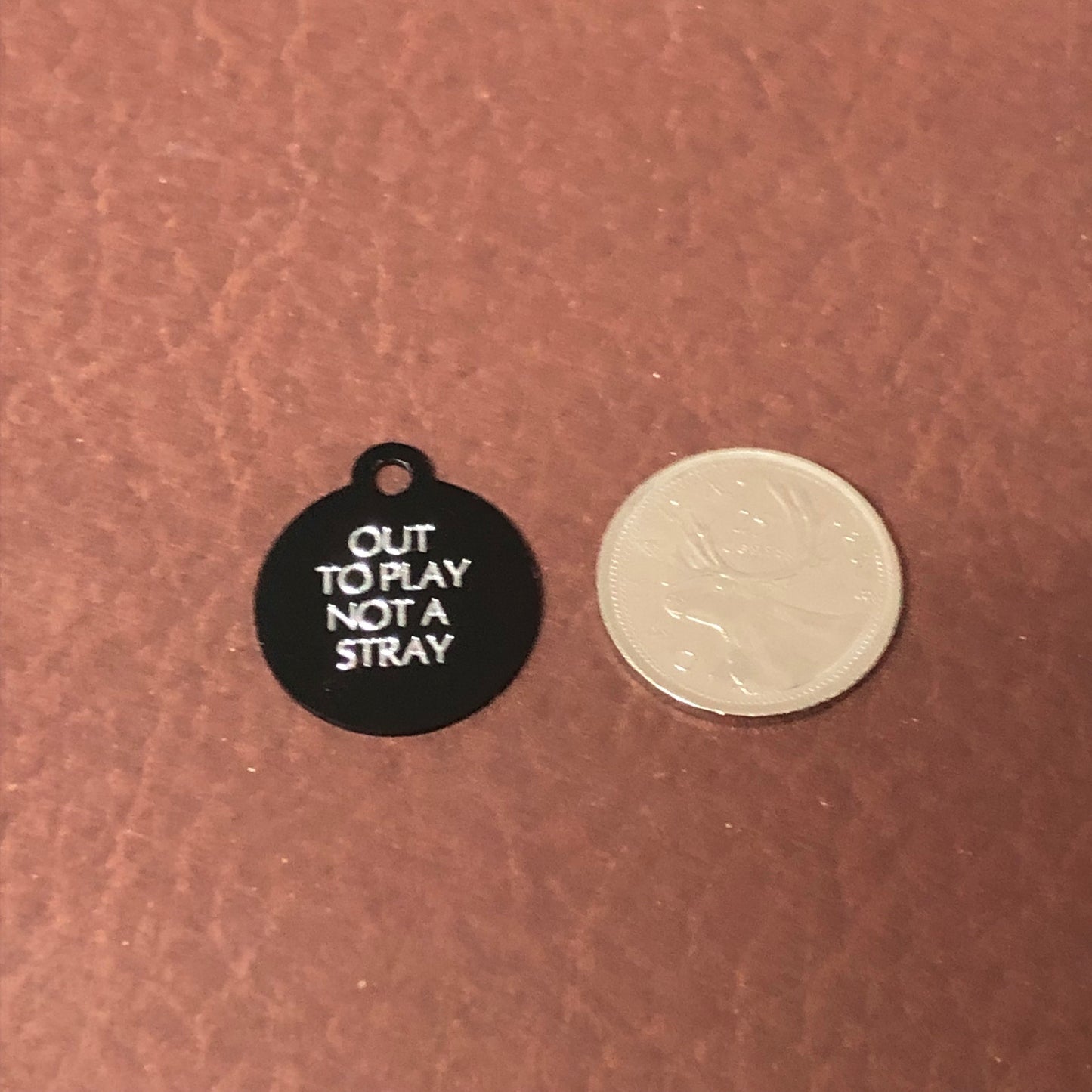 Out To Play Not A Stray, Small Circle Aluminum Tag