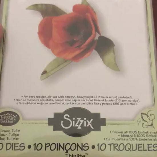 Tulip, Sizzix, 10 Piece Thinlits Dies, Set By Susan Tierney Cockburn, 658418