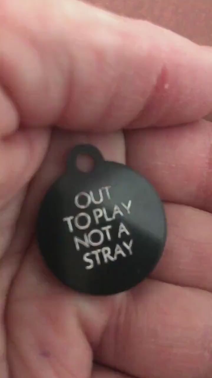 Out To Play Not A Stray, Small Circle Aluminum Tag, Personalized Diamond Engraved, Cat ID Tags, For Cat Collar, Pet id Tag, OTPSRC2